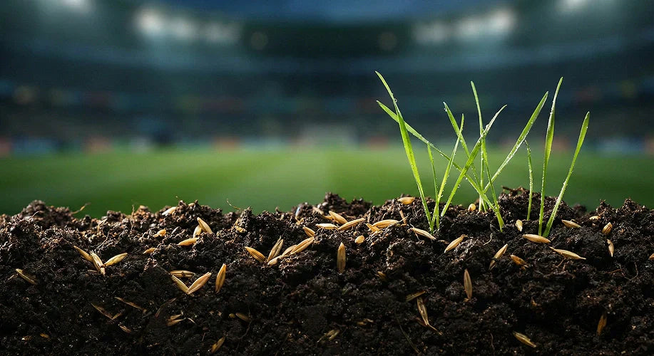 Unveiling the Secrets of Top Dressing: A Simple and Informative Guide The Lawn Pack Unveiling the Secrets of Top Dressing: A Simple and Informative Guide The Lawn Pack