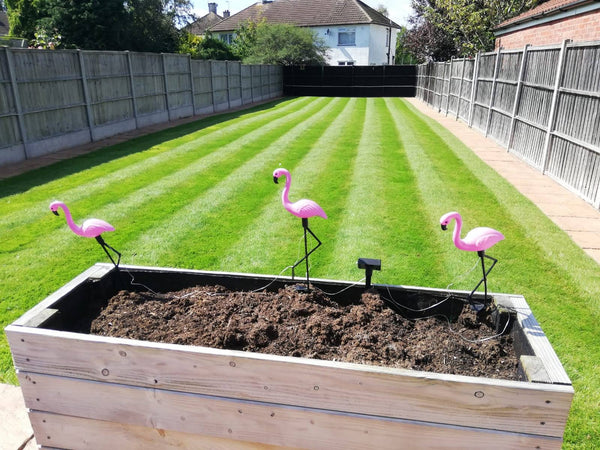 3 Steps To Quickly Getting Your Dream Lawn Without Hiring A Professional