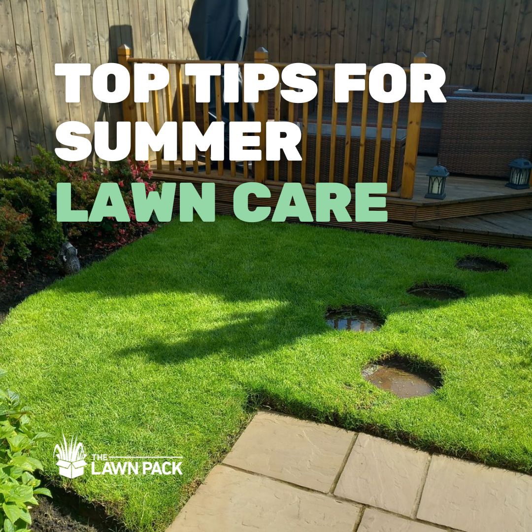 Summer lawn care discount