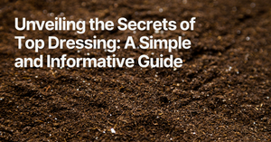 Unveiling the Secrets of Top Dressing: A Simple and Informative Guide