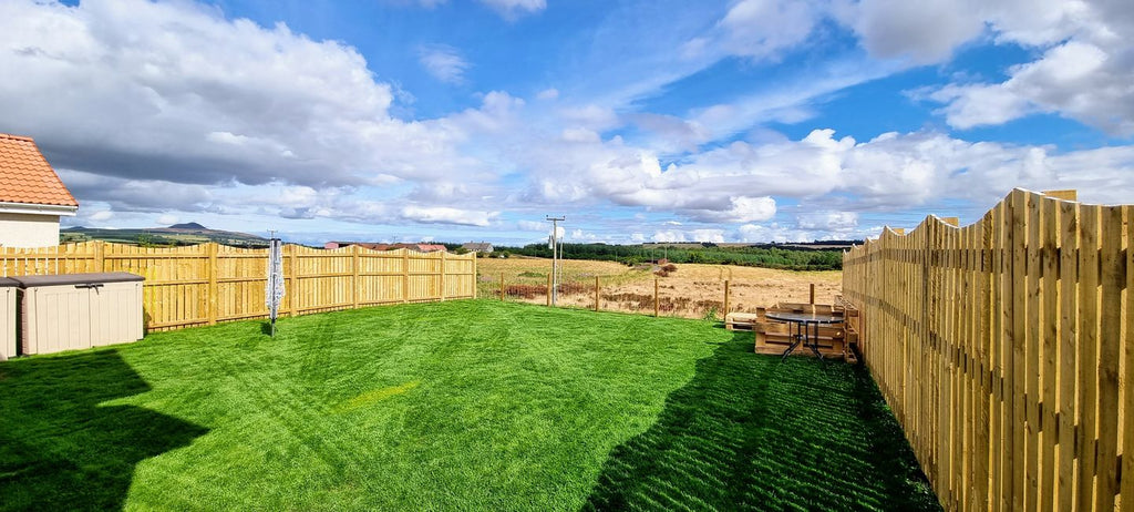 The Ultimate Guide to Lawn Renovation in the UK: Tips, Tools, and Best Practices