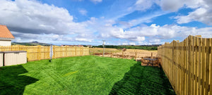 The Ultimate Guide to Lawn Renovation in the UK: Tips, Tools, and Best Practices