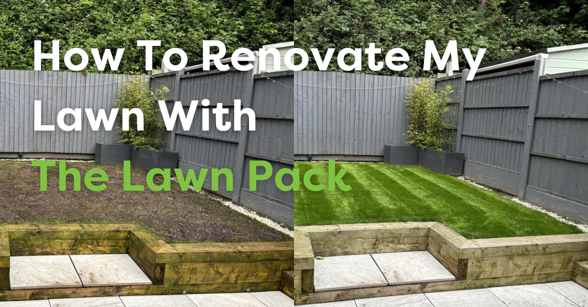 How To Renovate My Lawn With The Lawn Pack
