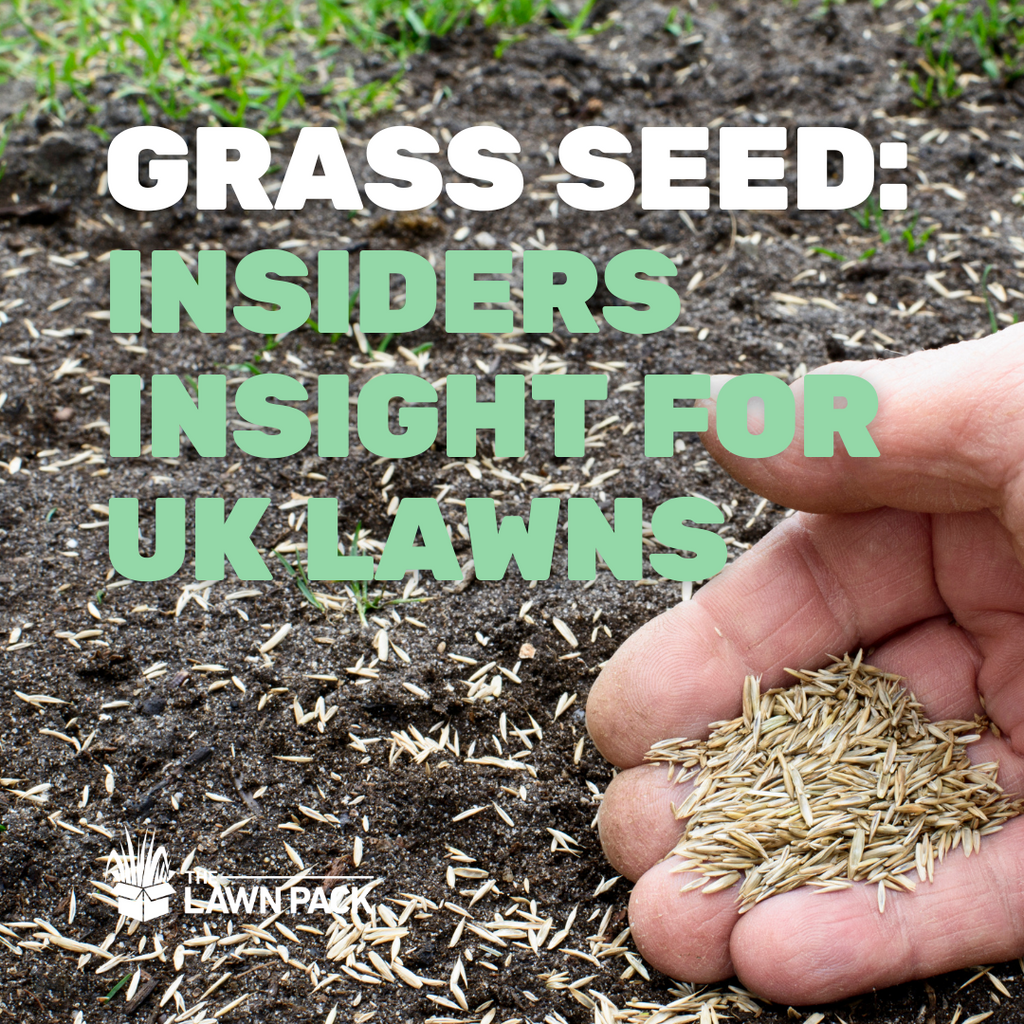 Grass Seed for all UK Lawns & Gardens: The insider's insight article