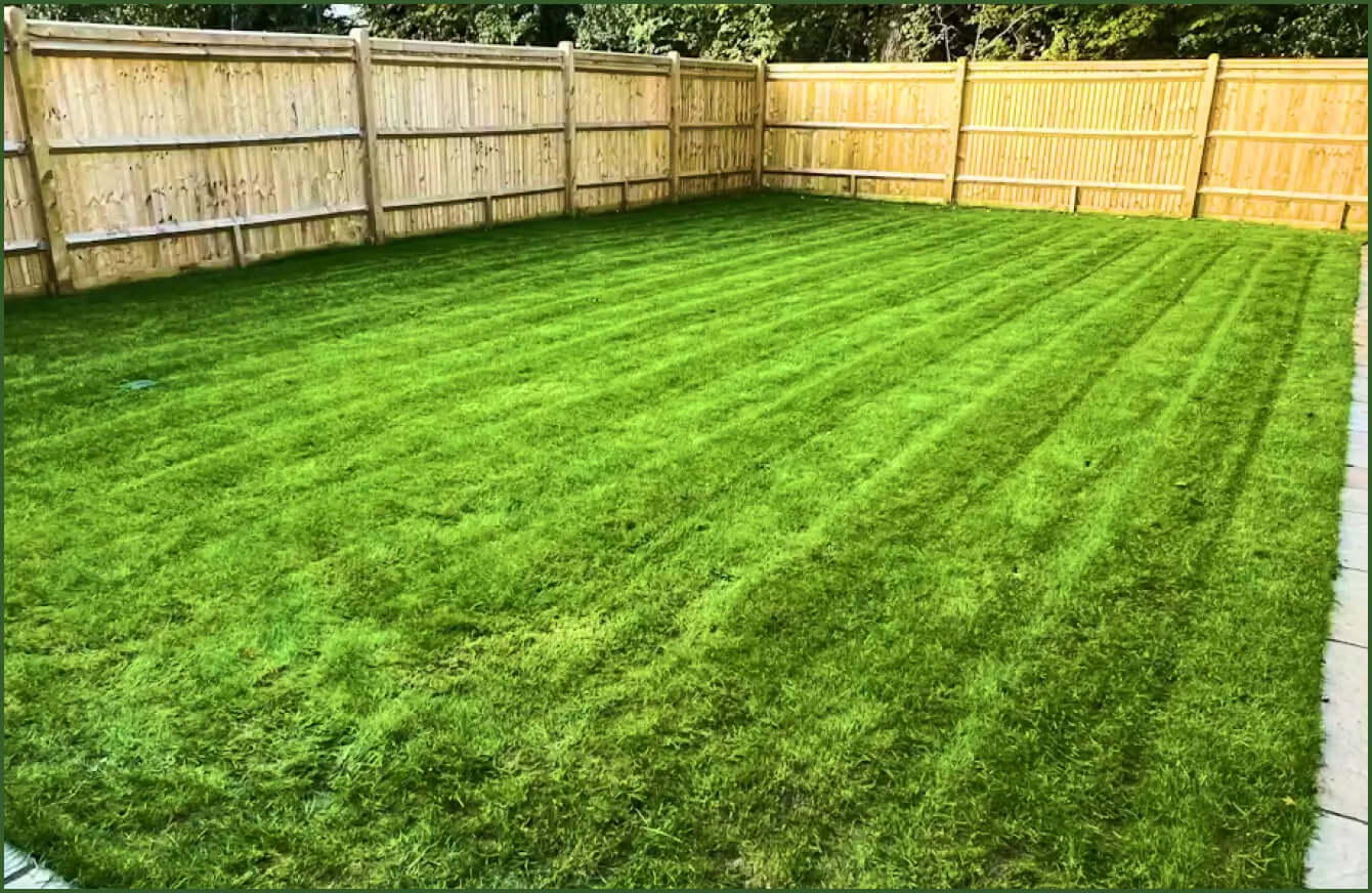 Summer Lawn Care: How to Keep Your Lawn Green During Hot Weather