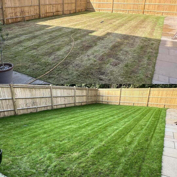 When Should You Seed Your Lawn? The UK Guide to Grass Seed Success