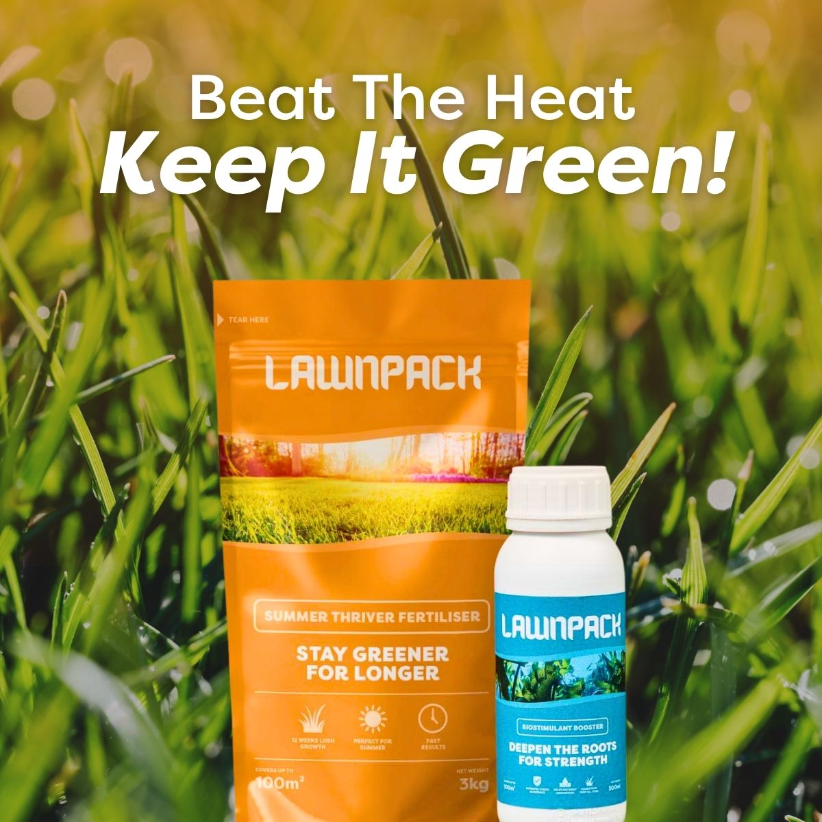 Seasonal Pack Subscription - Quarterly