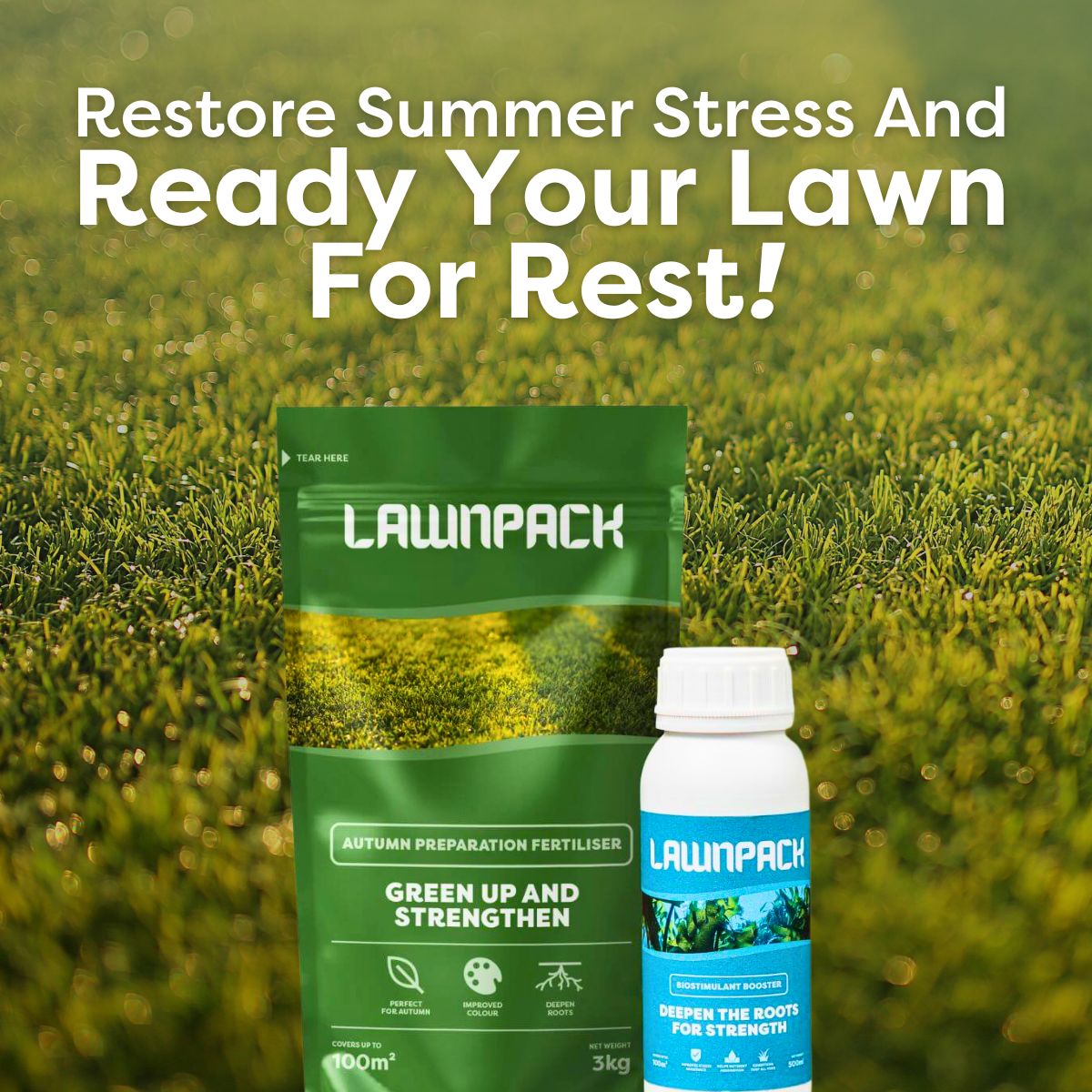 Seasonal Pack Subscription - Quarterly